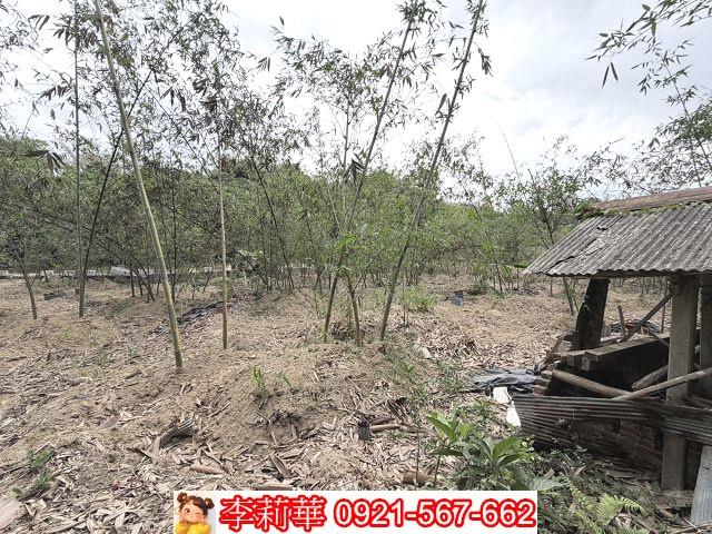 台南新化農地-10