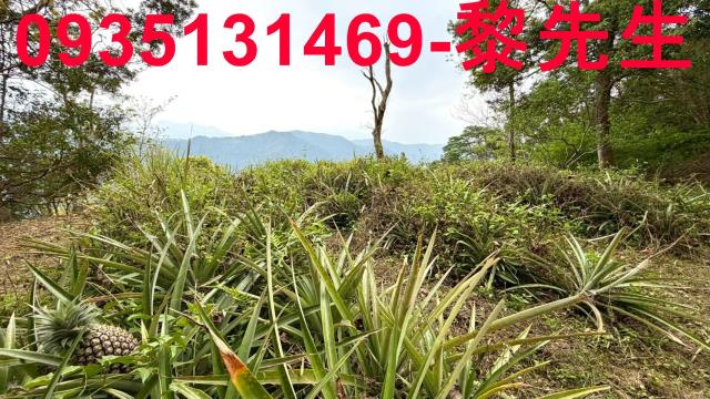 新竹北埔農地-13