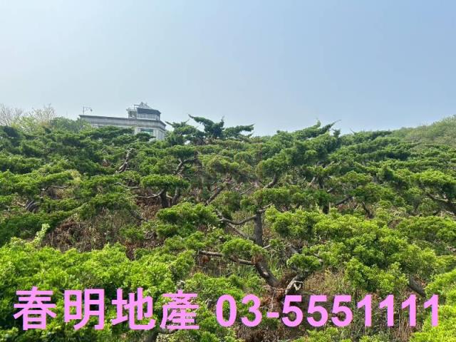 新竹新豐農地-1