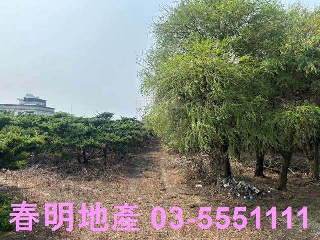 新竹新豐農地-2