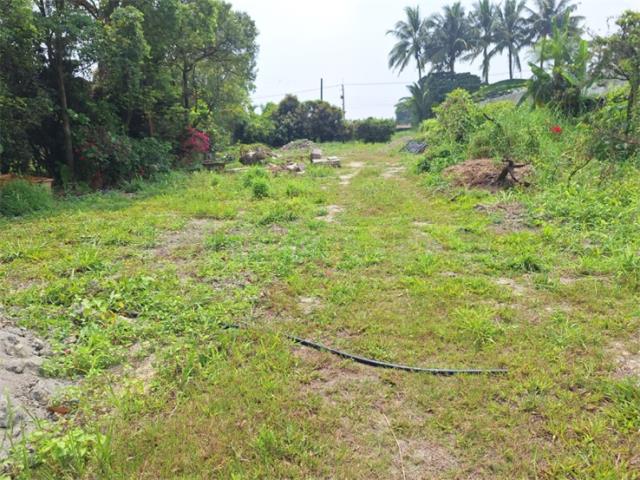 屏東竹田農地-7