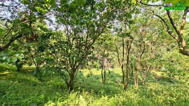 新竹峨眉農地-13