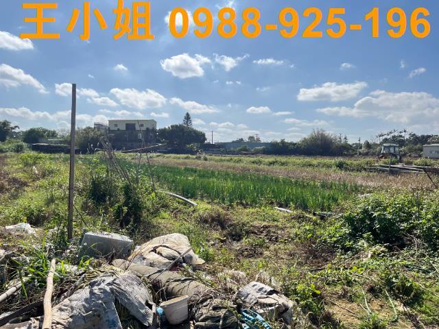 桃園新屋農地-6