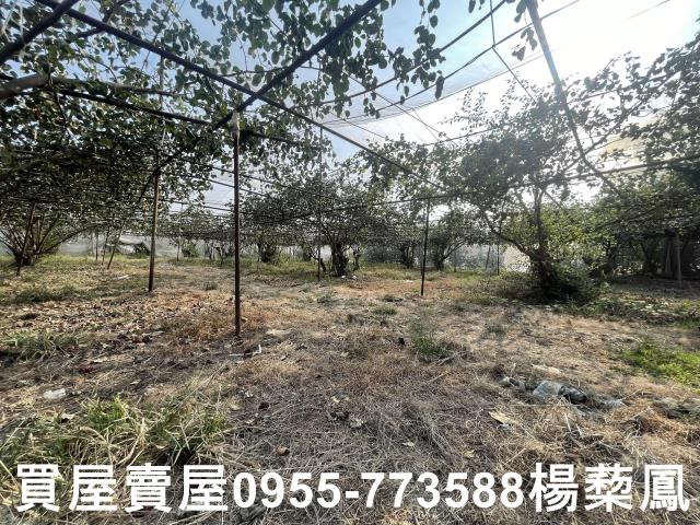 高雄燕巢農地-4