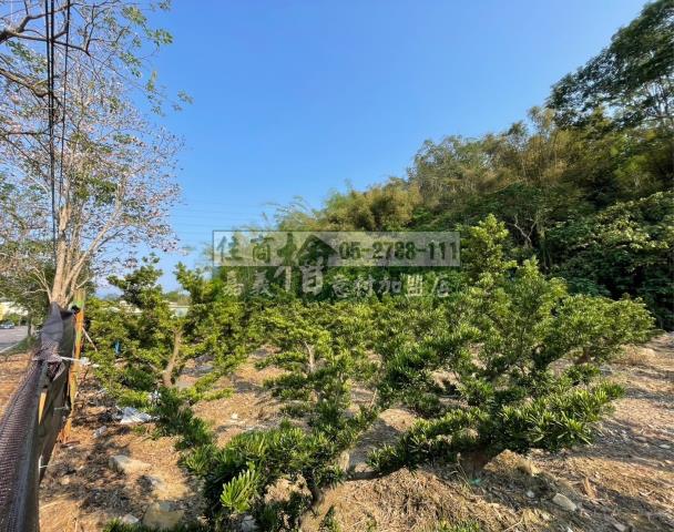 嘉義竹崎農地-6