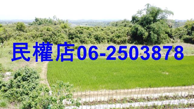 台南官田農地-2