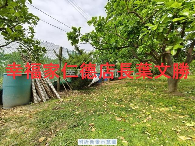 台南麻豆農地-10