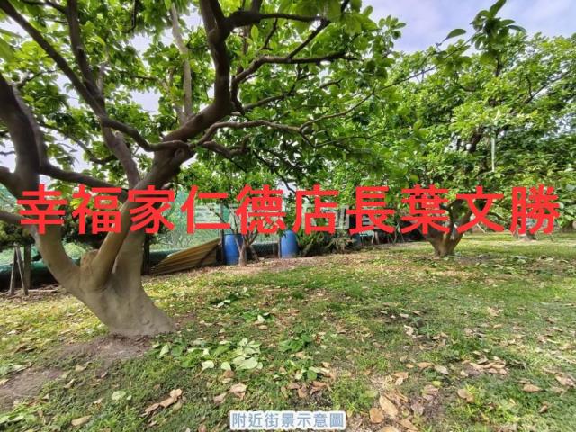 台南麻豆農地-14