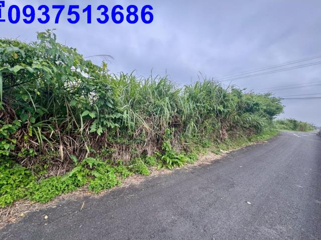 宜蘭壯圍農地-7