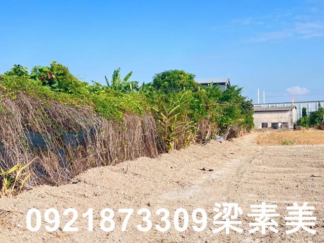 台南仁德農地-4