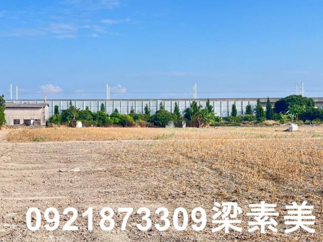 台南仁德農地-5