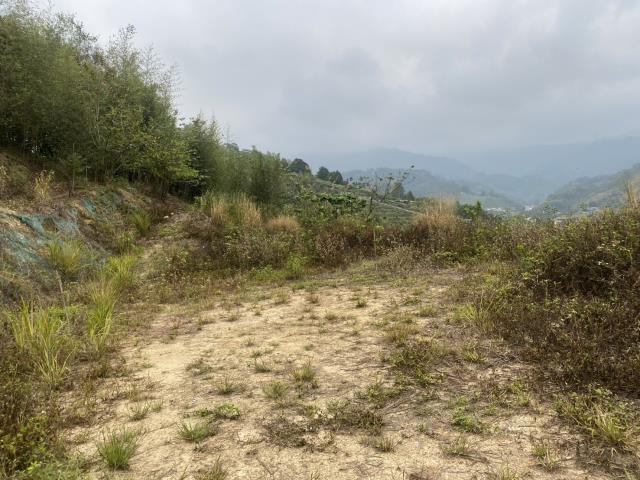 台中東勢農地-2