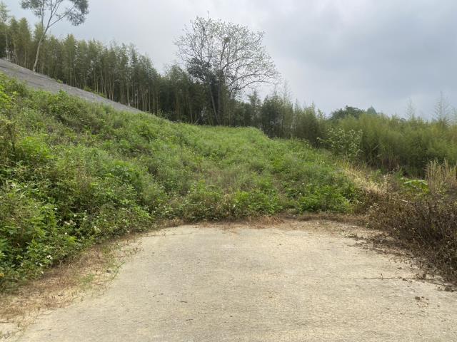 台中東勢農地-1