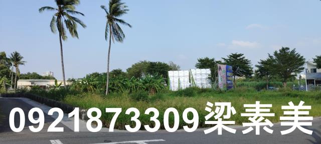 台南仁德農地-11