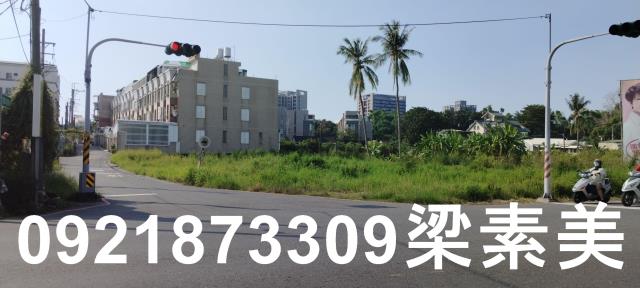 台南仁德農地-1