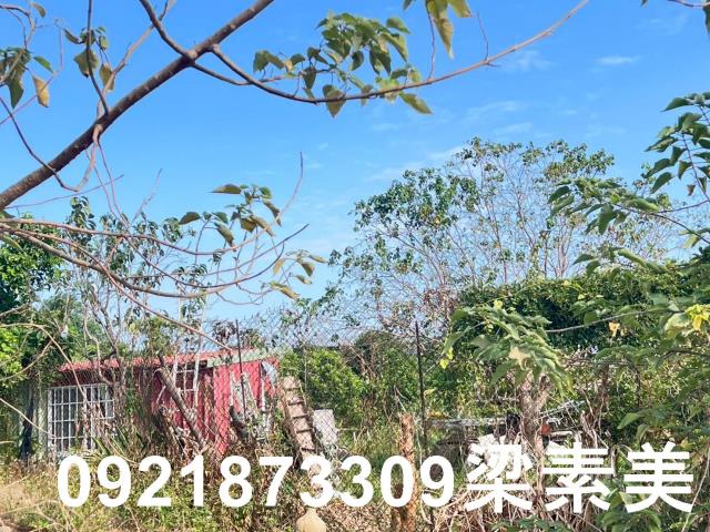 台南仁德農地-1