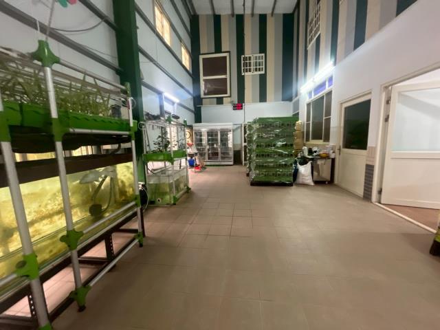 台中大雅農地-14