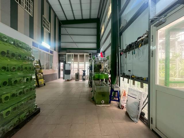 台中大雅農地-15