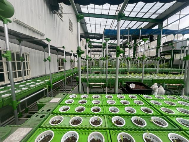 台中大雅農地-1