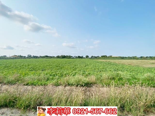 台南佳里農地-5