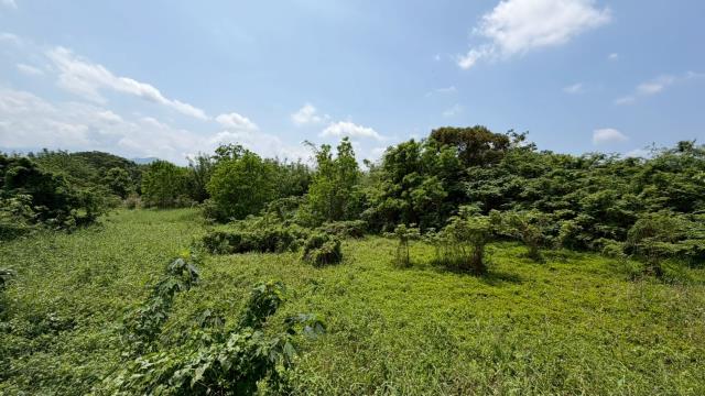 芎林建地-10