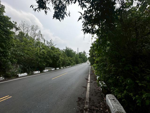 台南左鎮農地-4