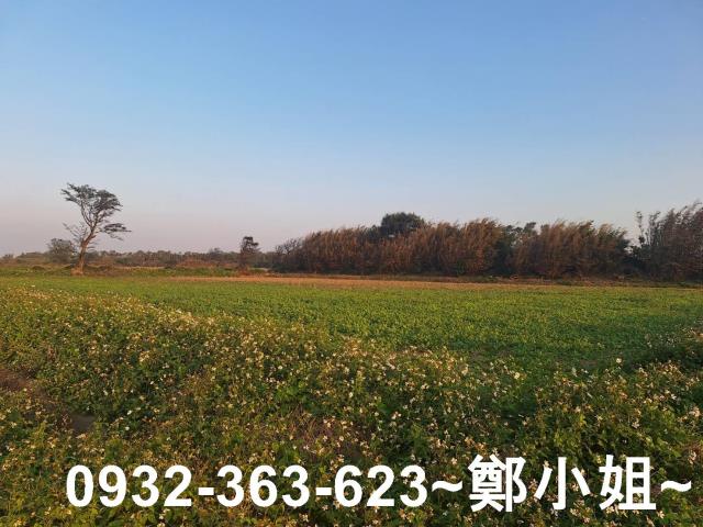 桃園觀音農地-2