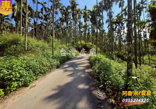 嘉義梅山農地-3