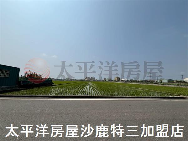 台中龍井農地-1