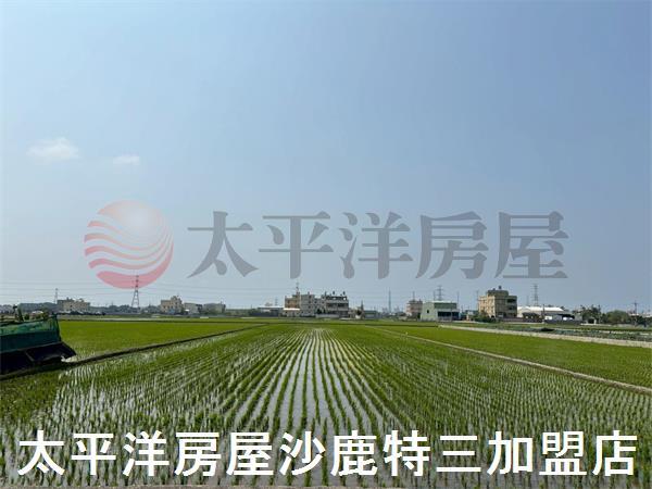 台中龍井農地-2