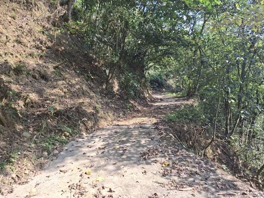 苗栗公館建地-8