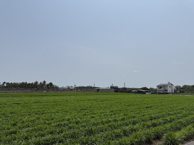 屏東屏東市農地-2