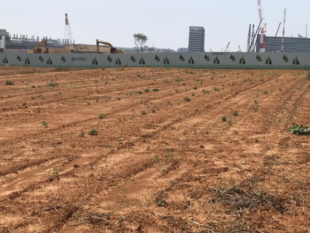 台中大雅農地-15