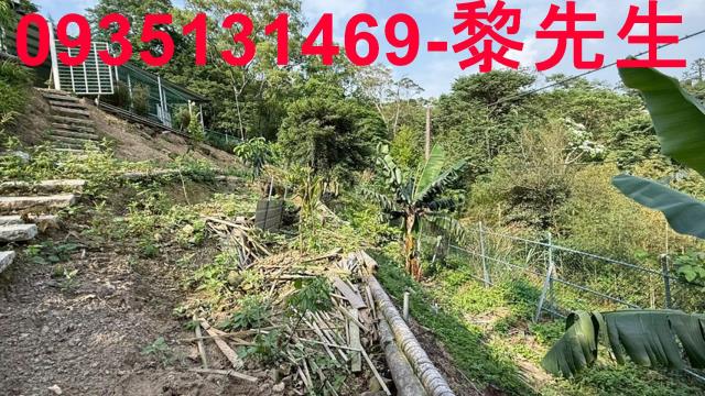 新竹峨眉農地-2