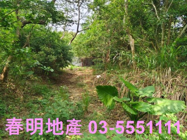 東區風景地-1