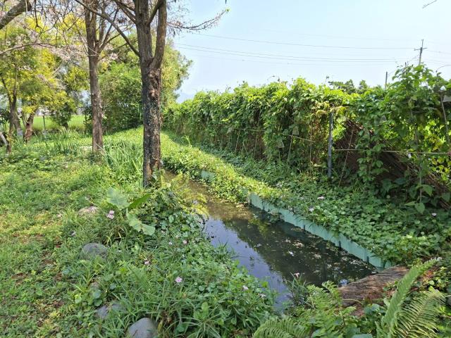 高雄美濃農地-12