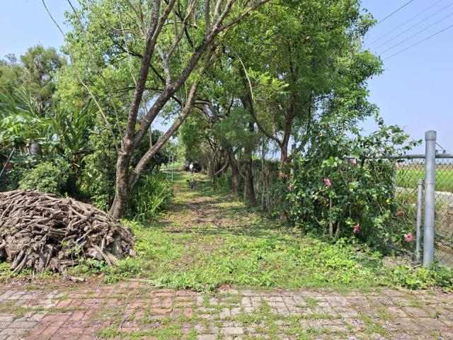 高雄美濃農地-5