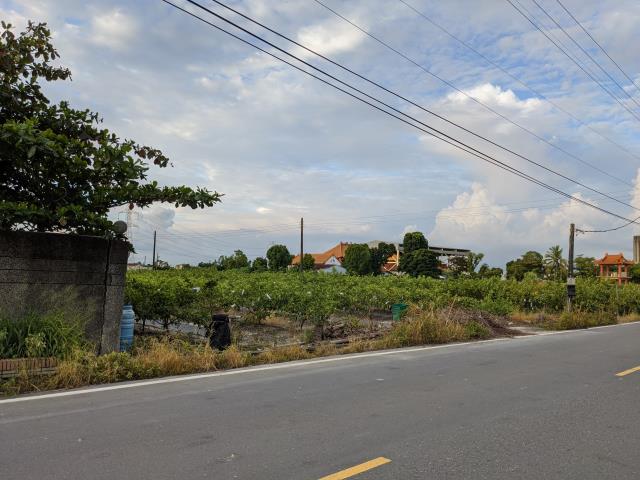 高雄阿蓮農地-2