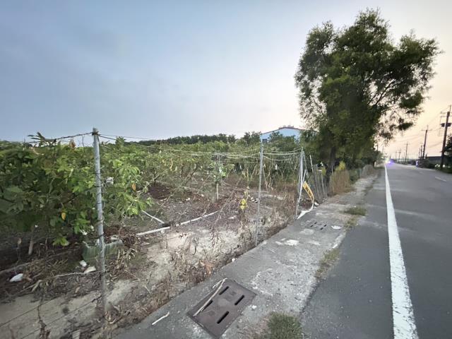 高雄阿蓮農地-6