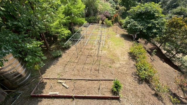 新竹峨眉農地-6