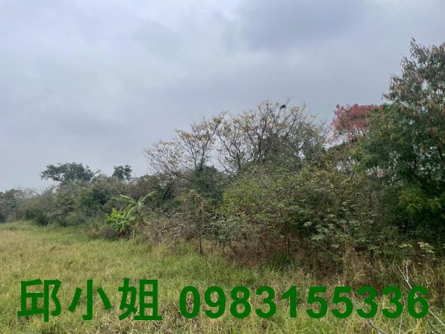 嘉義朴子農地-1