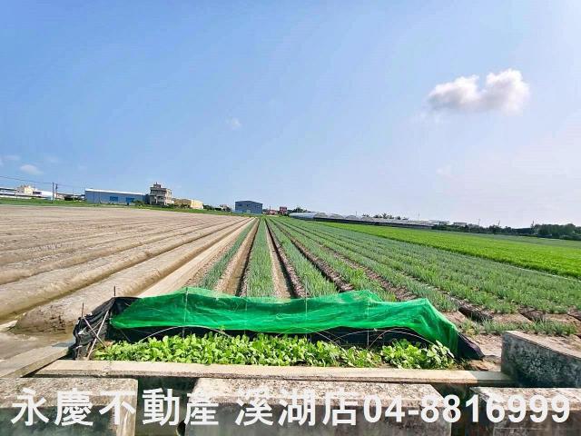 彰化埔鹽農地-10