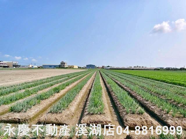 彰化埔鹽農地-7