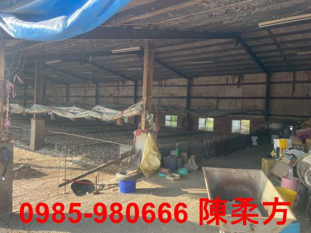 六腳農地-14