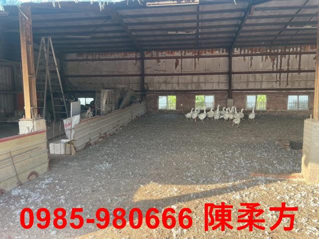 六腳農地-8