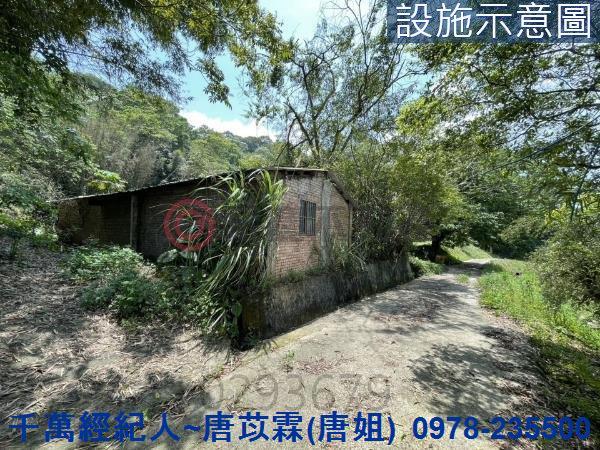 橫山農地-10