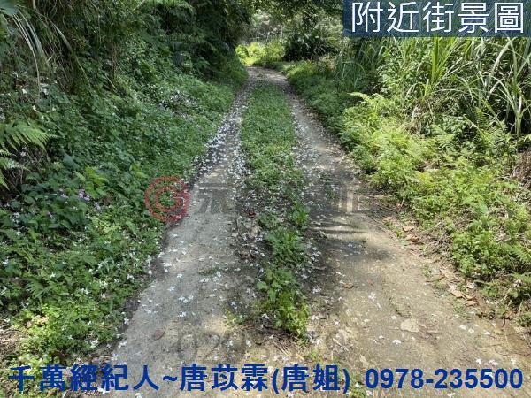 橫山農地-12