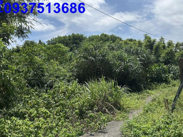 新北貢寮建地-13