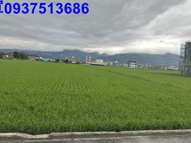 礁溪農地-8