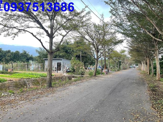 頭城農地-4